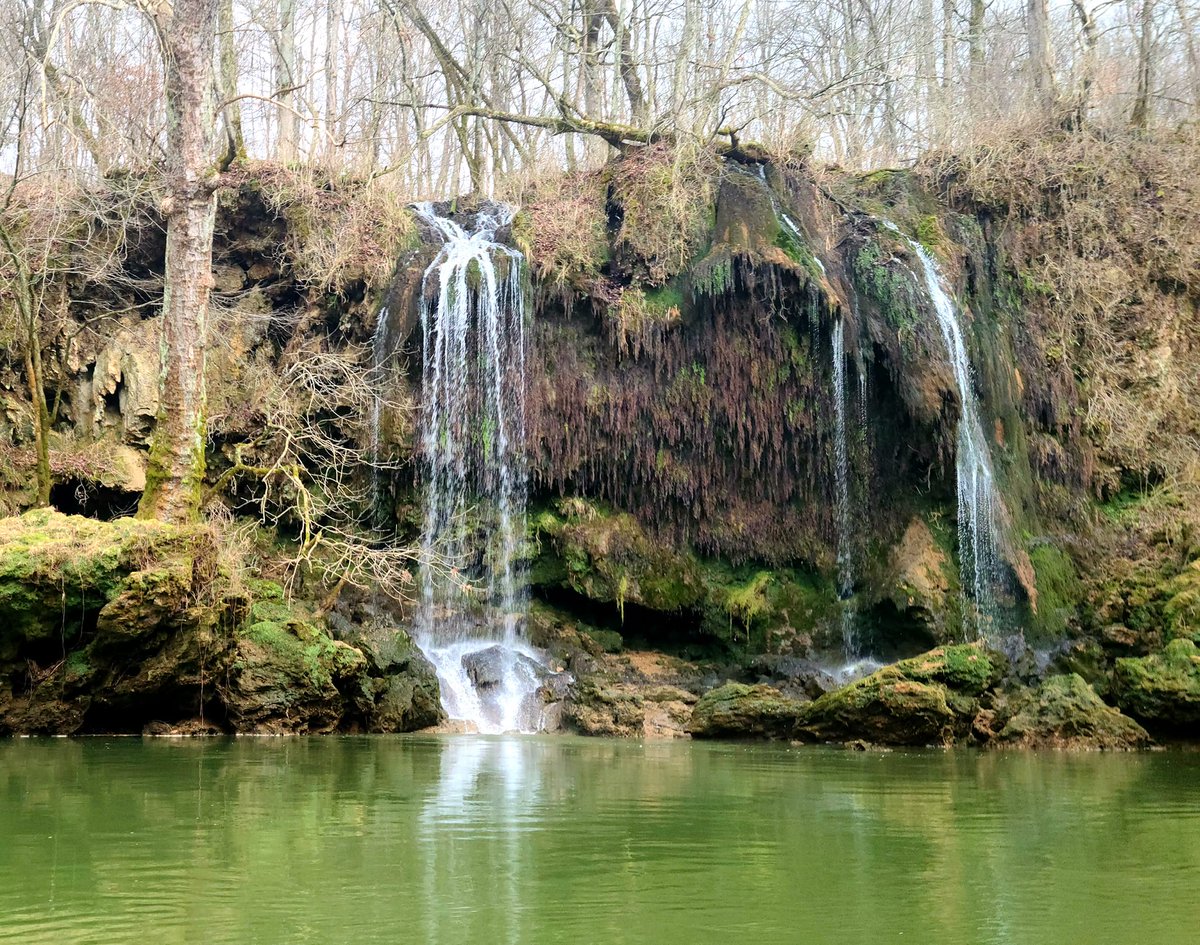 Southern Kentucky Film Commission tweet media