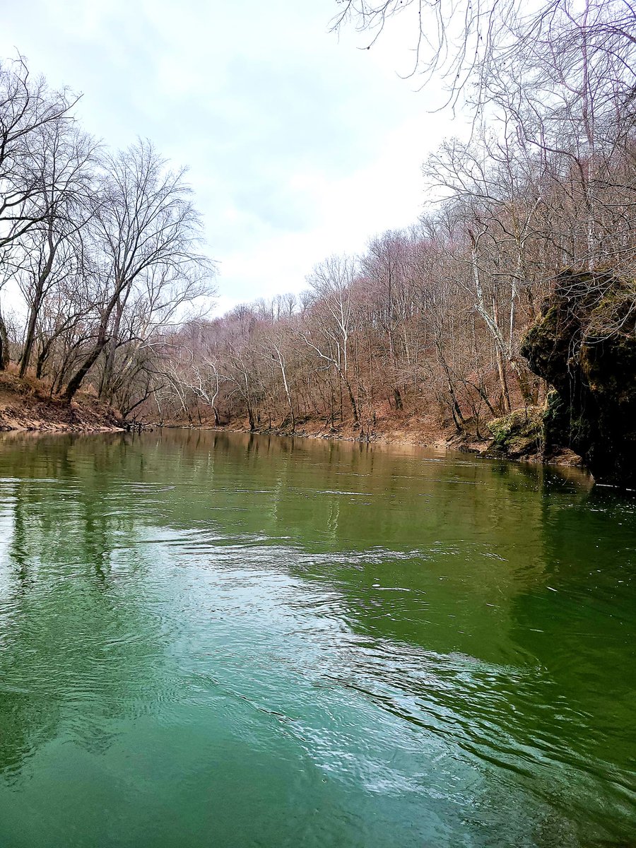 Southern Kentucky Film Commission tweet media