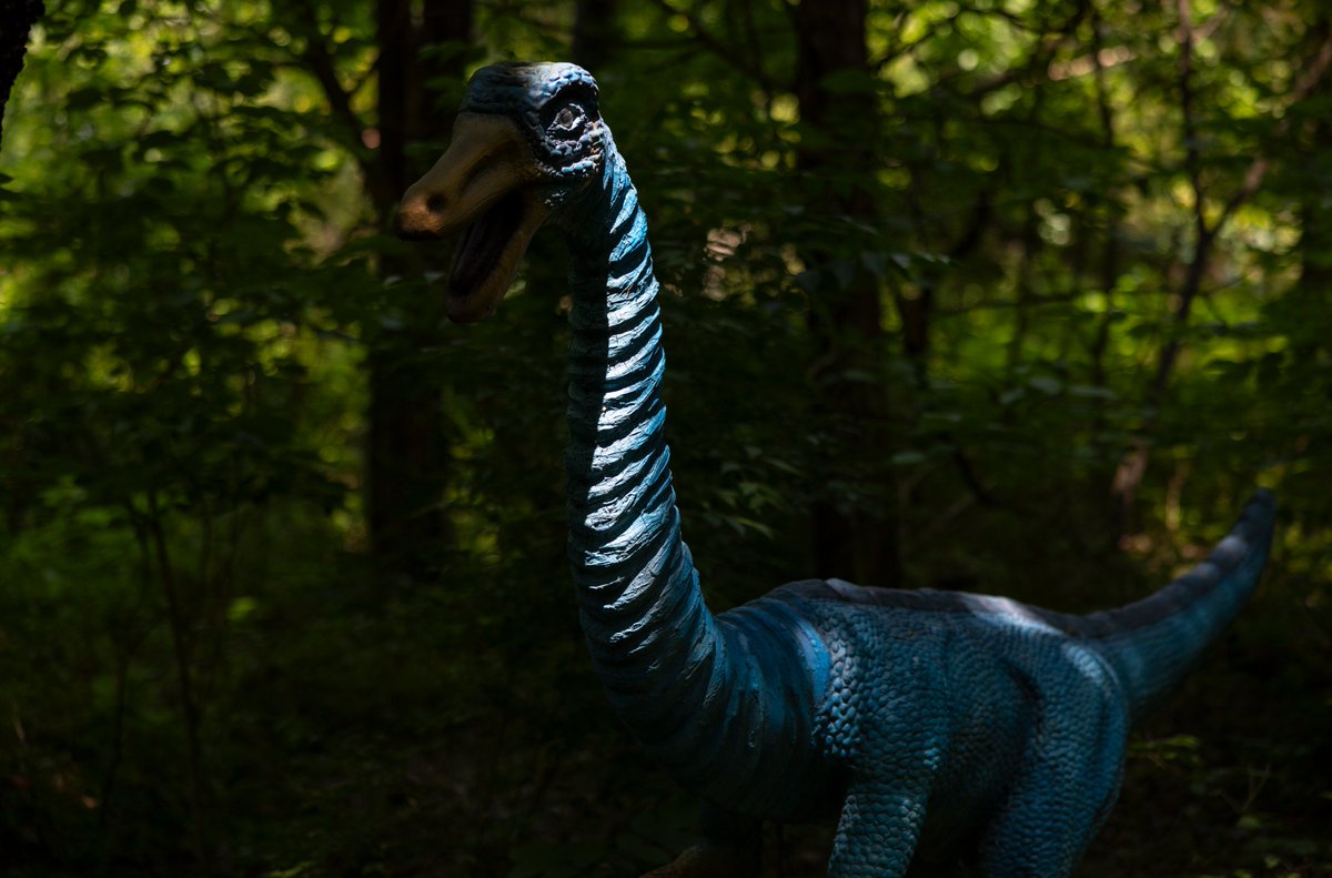 Southern Kentucky Film Commission tweet media