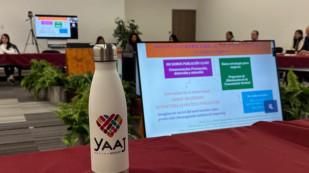 YaajMexico's tweet photo. 🔺🌟 Participación activa y trabajo en equipo en #CONASIDA. 🏳️⚧️🏳️🌈 Desde Yaaj México, como una de las organizaciones elegidas para ocupar una de las cinco vocalías transitorias del CONASIDA, reafirmamos nuestro compromiso con la respuesta integral al VIH en México. 🙌🫀
📊 Durante la segunda sesión anual de CONASIDA, realizamos un análisis detallado de los acuerdos establecidos en la primera sesión, evaluando avances significativos y detectando áreas clave para seguir trabajando en el cumplimiento de los objetivos nacionales rumbo a 2025. Las vocalías de sociedad civil tuvimos una participación activa, proponiendo estrategias innovadoras que refuercen el impacto comunitario en esta agenda prioritaria. 🌈💡
🤝 Posteriormente, sostuvimos una reunión con el Subsecretario de Prevención y Promoción de la Salud, @RamiroLopezE.
Este espacio fue clave para trazar rutas concretas que fortalezcan la participación social en la respuesta al VIH, subrayando la relevancia de integrar las perspectivas comunitarias en la planeación e implementación de políticas públicas que garanticen el cumplimiento de las metas nacionales de salud.
🎖️ Desde la vocalía encabezada por nuestro programa nacional #SaludPositivaYaaj, bajo el liderazgo de @icarlosahedo, reafirmamos que la colaboración entre sociedad civil y gobierno es esencial para construir una respuesta sólida y efectiva frente al VIH.
💡 Nos llena de orgullo compartir esta responsabilidad con otras organizaciones comprometidas como @InspiraCambioAC, @AHFLatamyCaribe, Karuna @paco1971lopez, @CompanerosAC, @DVVIMSS, #Makukos, y @vihposithiva, cuyas voces y esfuerzos son indispensables para avanzar hacia un México más justo, inclusivo y con salud universal para todxs.
#ParticipaciónComunitaria #QueLasComunidadesLideren #JusticiaSinDiscriminación #VIH