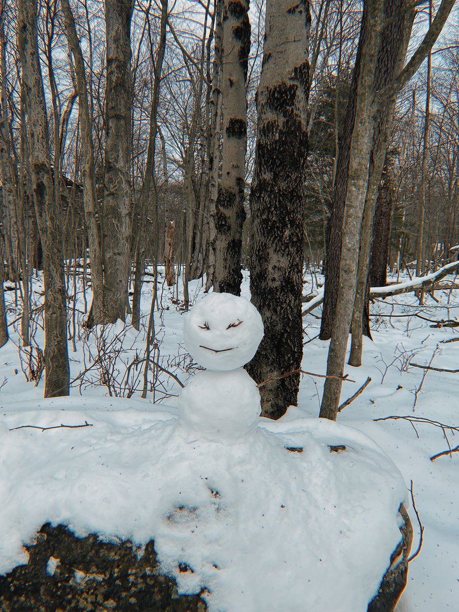 teveserika's tweet photo. I have no idea what else to do in winter other than drink and make a snowman. Oh well https://t.co/R6qHzihkau