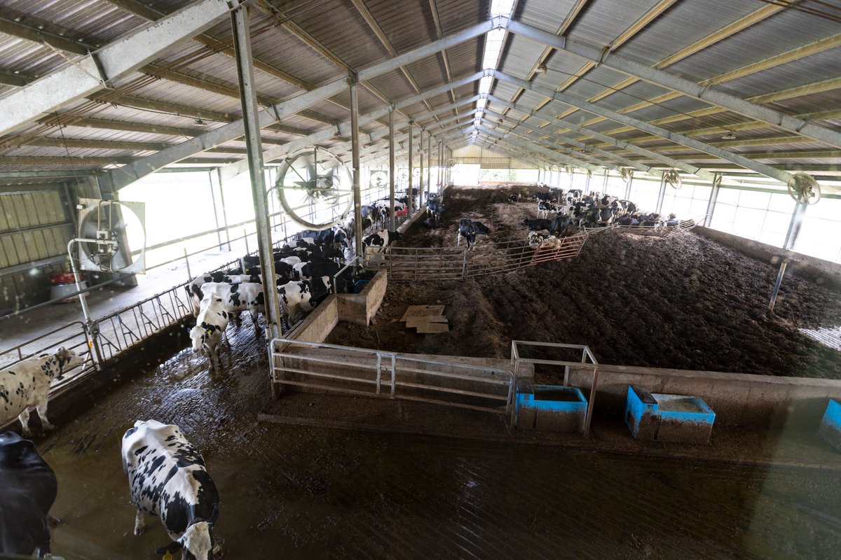 Southern Kentucky Film Commission tweet media