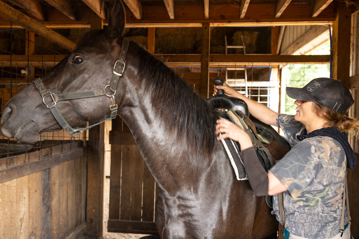 Southern Kentucky Film Commission tweet media