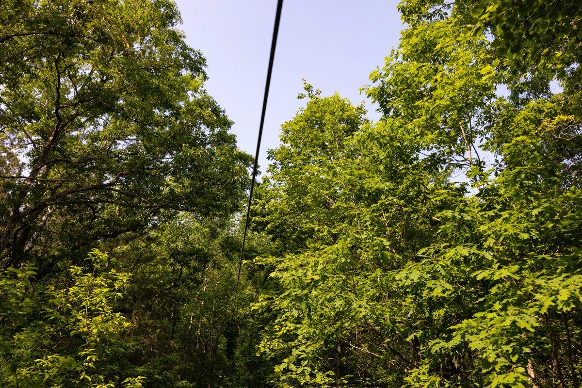 Southern Kentucky Film Commission tweet media