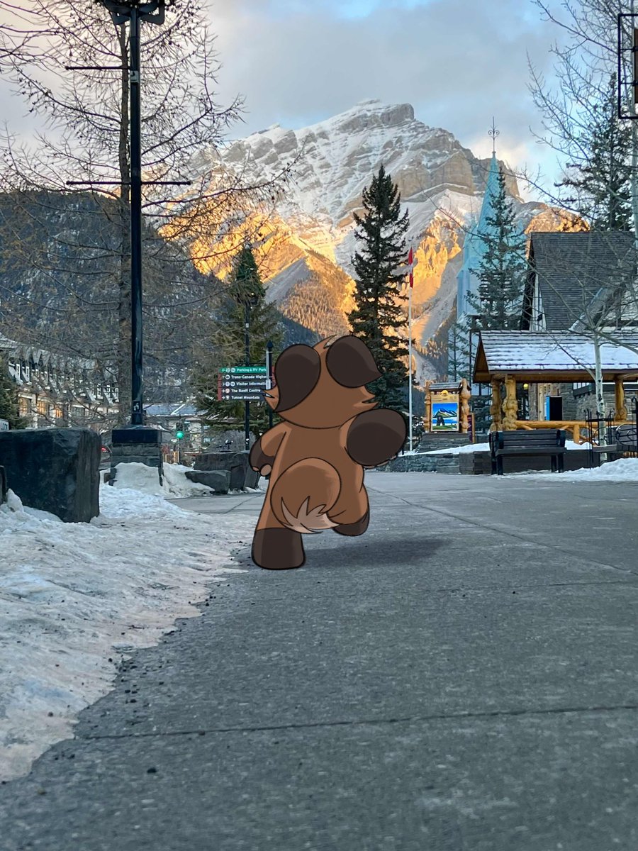 conflagphoenix's tweet photo. in the small canadian village of calgary https://t.co/o2UcRsZMcb