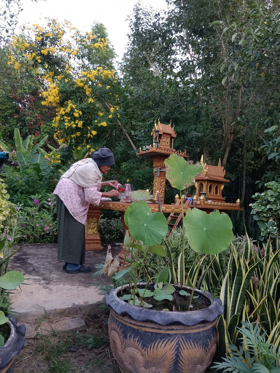 คุณยายประกอบพิธี thanksgiving