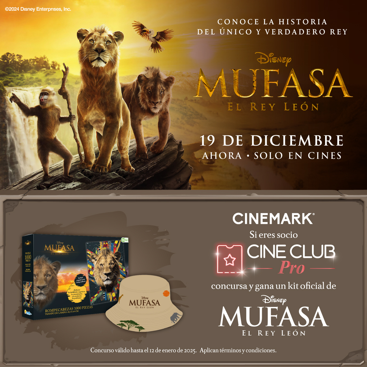 CinemarkCol's tweet photo. ¡Si eres #SocioPro 😎 tenemos para ti un kit de #Mufasa! 🎁⁣⁣⁣⁣⁣
⁣⁣⁣
Regístrate en https://t.co/7dfQeJEBMh 💻 sección - CONCURSOS 🎉 y participa para ganar 💥.⁣⁣⁣⁣
⁣⁣⁣
Disfruta este y más beneficios exclusivos con #CineClub 🎥🍿.⁣⁣⁣⁣
⁣⁣⁣
Aplican TYC. 👀 https://t.co/Ad1kjyV1N8