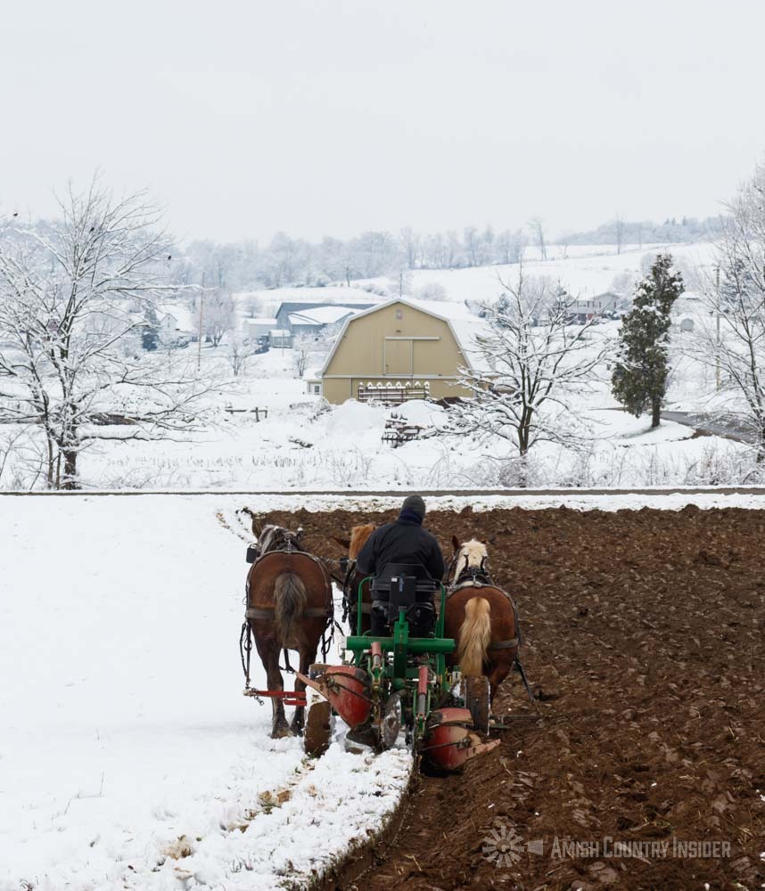 Winter plowing near Walnut Creek, Ohio.
#amishcountryinsider #amishcountry #amish #ohioamishcountry #ohio