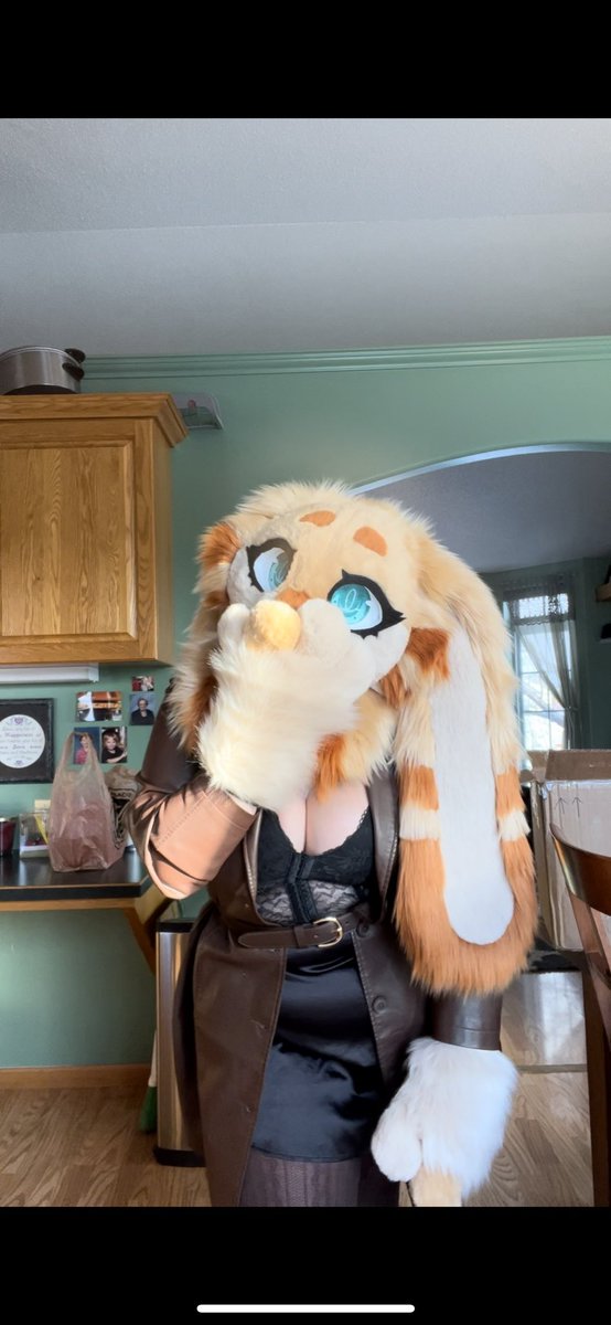 CopperBunni's tweet photo. Happy #FursuitFriday everyone!
#furry #fursuit #fursona https://t.co/o34BE4dyTq