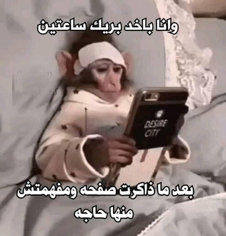 Egyptianmemees's tweet photo. https://t.co/SeeRhGzK5t
