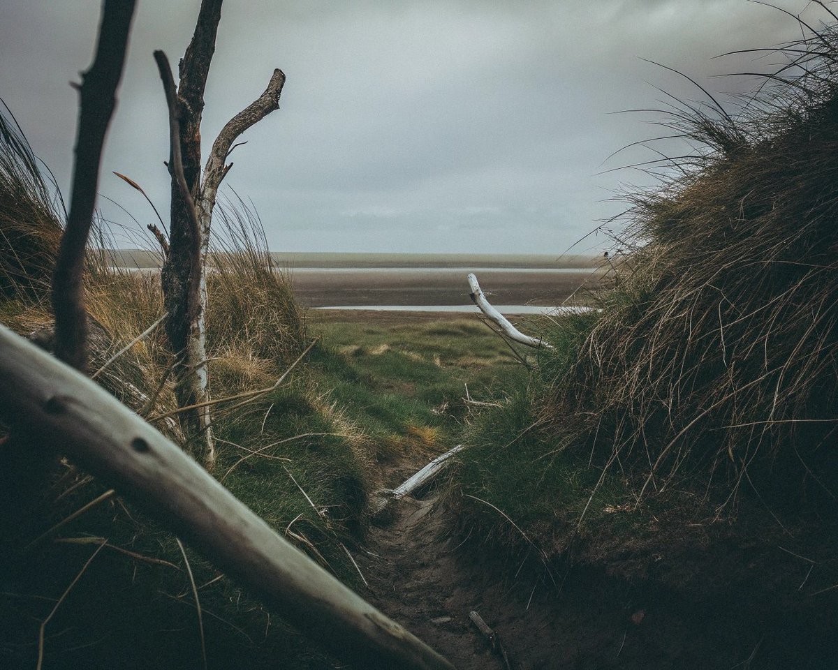 StellaryAI's tweet image. #NaturalTones