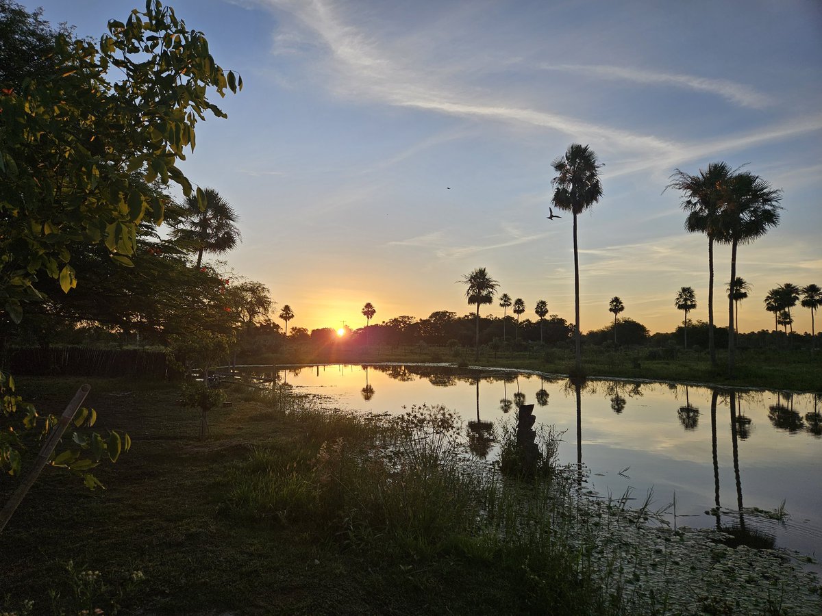 Atardecer  x est. Ta'aromby ruta Ñ