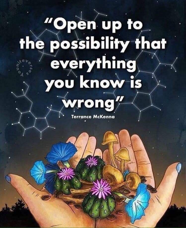 🛸AREASHIK🛸 tweet media