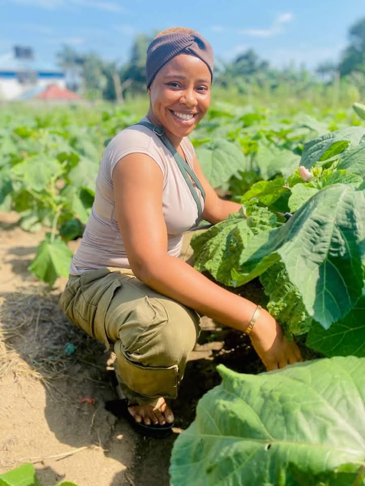 easyeat9ja's tweet photo. Meet the richest okro farmer.
A young girl of 25 who make over 7 digits in weeks.

Tips for a Good Yield of Okra:  
1. Right Timing:** Plant in warm weather (soil temp > 65°F).  
2. Soil Prep: Use well-drained, fertile soil enriched with compost. Maintain a pH of 6.0–7.5. https://t.co/AOpb0xNkaA