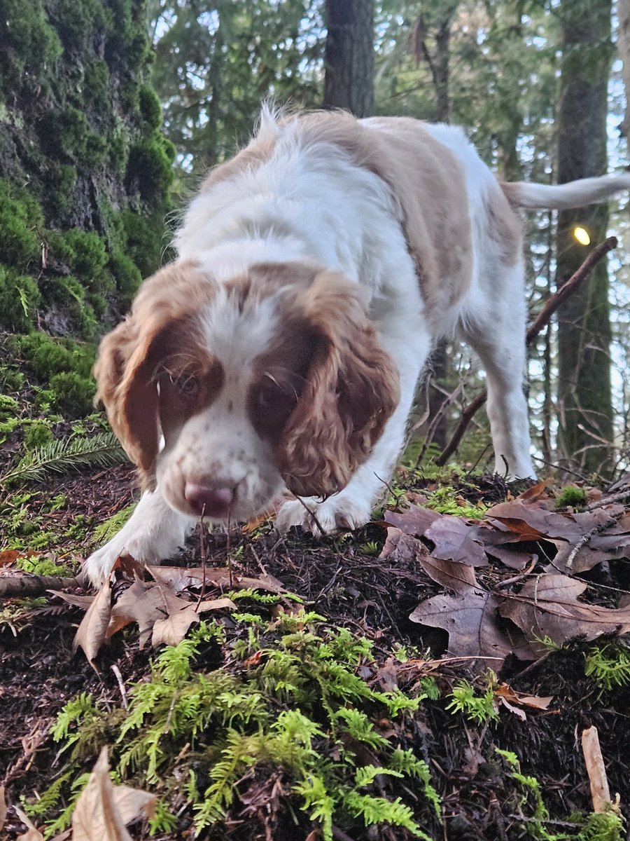 Lindsey Godfrey Eccles tweet media