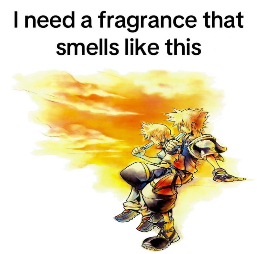 KingdomHeartGuy's tweet photo. https://t.co/gU4C1qYCzZ