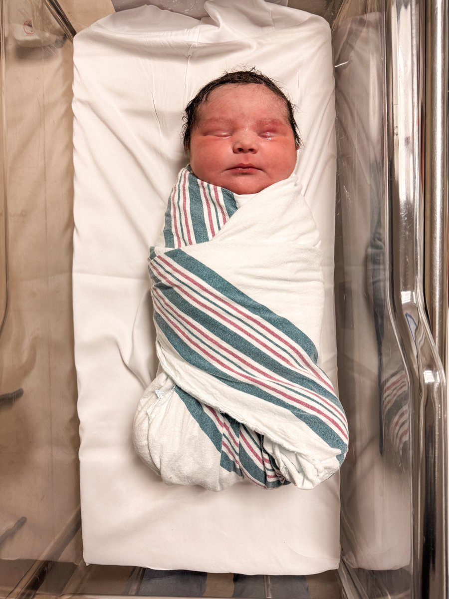 Kyle Brostowitz tweet media