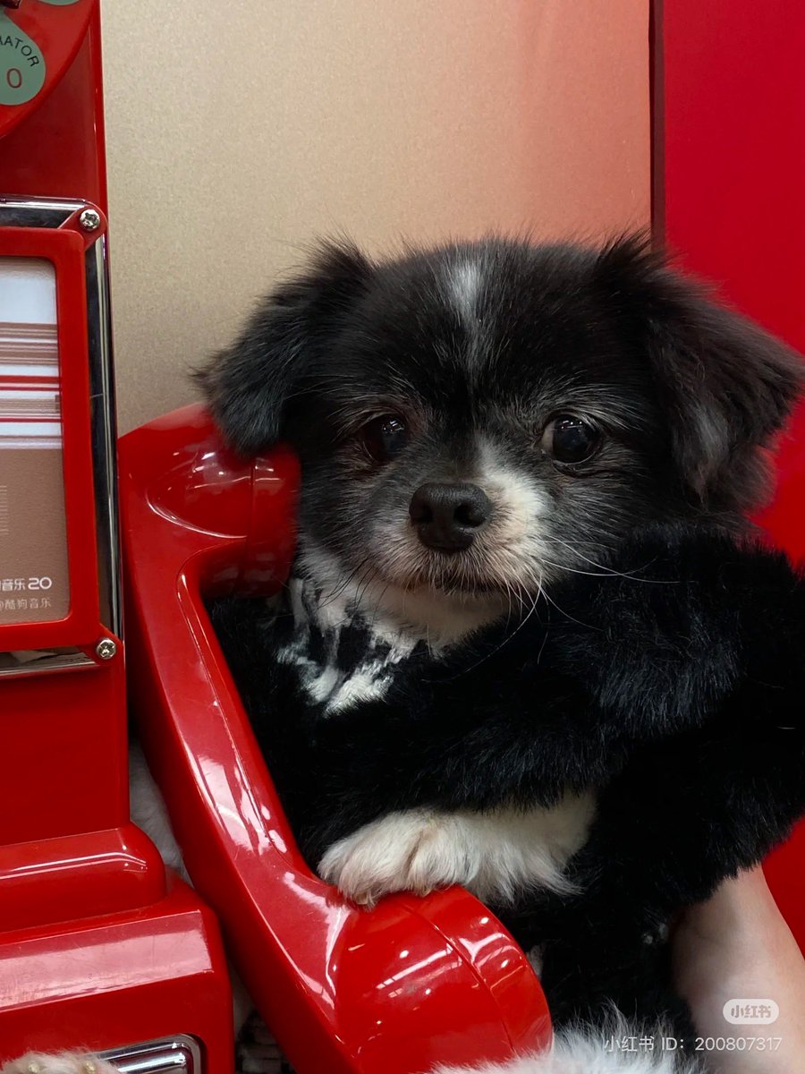 twaniimals's tweet photo. https://t.co/pMg4Jn9pkM