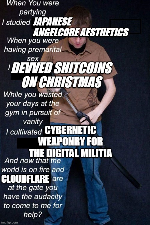 while you were partying i studied japanese angelcore aesthetics. while you where having premarital sex i was devving shitcoins on chriatmas. while you wasted your days at the gym in the pursuit of vanity i developed cybernetic weaponry for the new digital militia