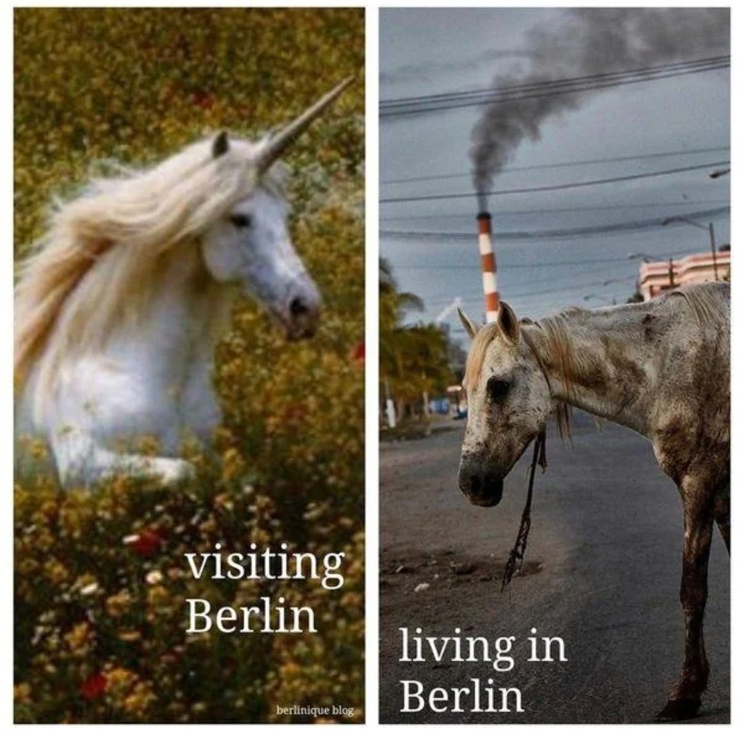 Fast 2 J. Ausweis-Berliner (,weil n richtjer Berliner biste ja nur ab de zweeten Jeneration, meente de Brandenburjerin uffn Amt). 

Jut, is ooch Winter, aber ja, neee, vielleicht liechts ooch am Spiejel.Schlechter Tach, komisch jelejen, Vollmond ...
Aber ja, ok, ick seh Tendenzen