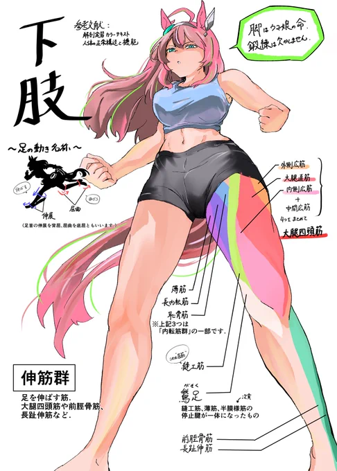 ウマ娘でみる人体の話:下肢
明日はよろしくお願いします 