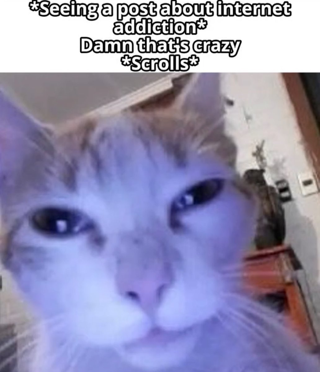 literallymecats's tweet photo. https://t.co/NZXXgpaoYZ