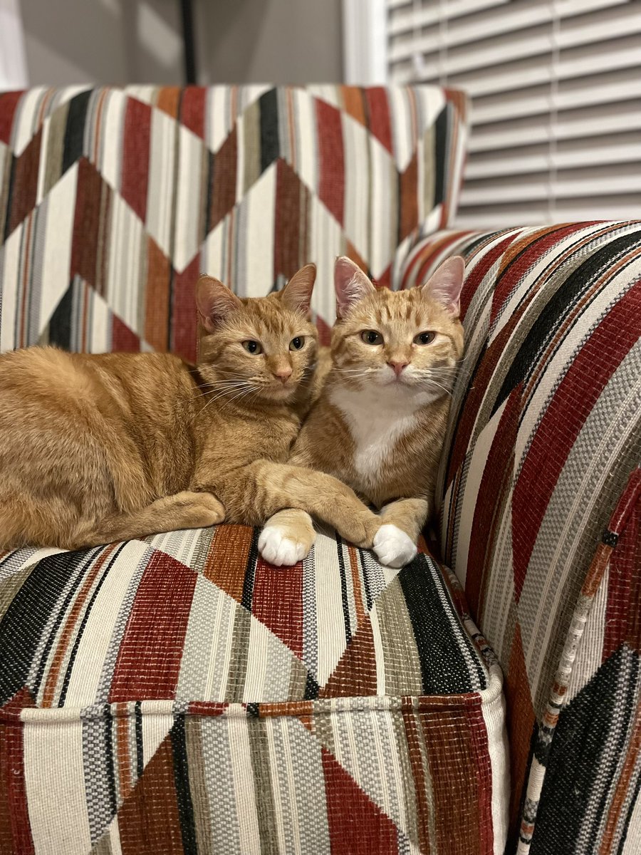 Mythiical tweet media