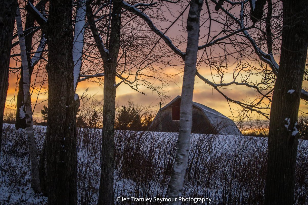 Ellen Tramley Seymour tweet media