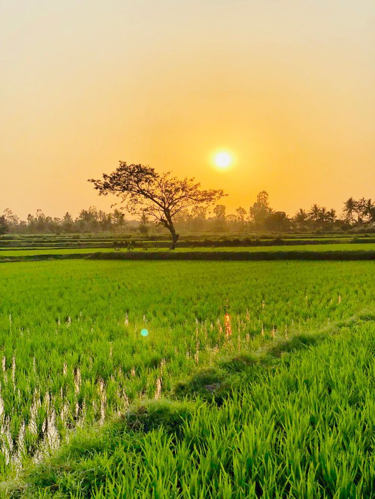 एक नया दिन, नई उमंग, नई आशा!

सूरज की पहली किरणें हमारे दिलों में नई ऊर्जा और उत्साह भर देती हैं।

आइए हम इस नए दिन का स्वागत करें और अपने लक्ष्यों को प्राप्त करने के लिए प्रयास करें!