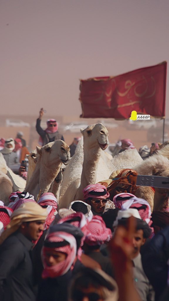 احمد القحطاني ءღ 📸🧡 tweet media