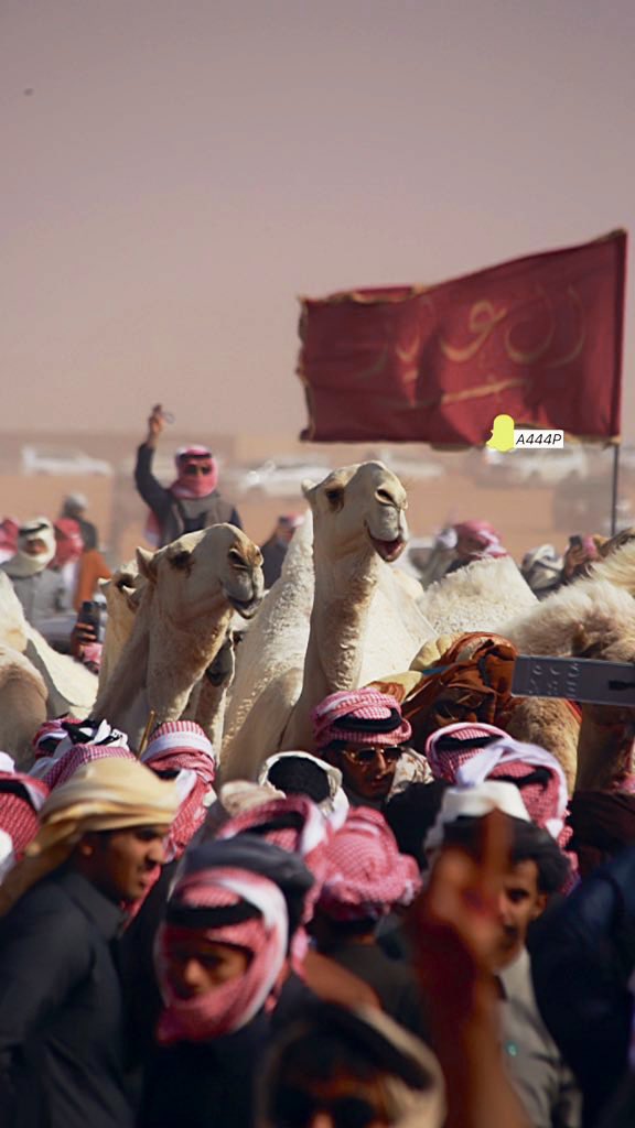 احمد القحطاني ءღ 📸🧡 tweet media