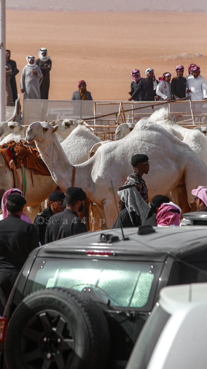 احمد القحطاني ءღ 📸🧡 tweet media