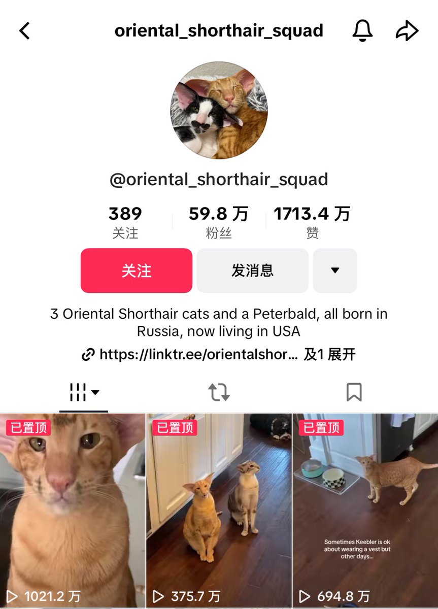 lordcheemscn's tweet photo. On the first day of the TikTok campaign, I saw two influencer with over 500K and 1M followers participate. Letโs keep pushing @LordCheems_bsc to breaking and continue #cheemswelfare ! https://t.co/rDXNSgCWE2