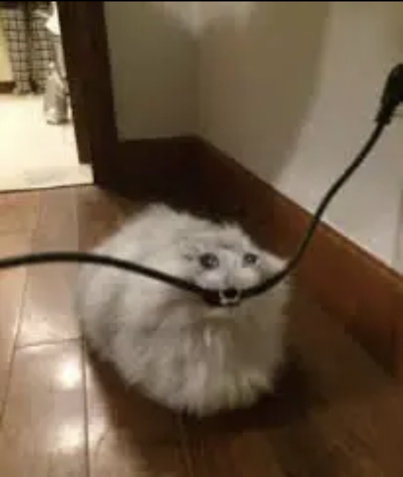 pam_pdf's tweet photo. me when i watch wicked part 2 and “For Good” starts playing https://t.co/VyAxJjnwpB