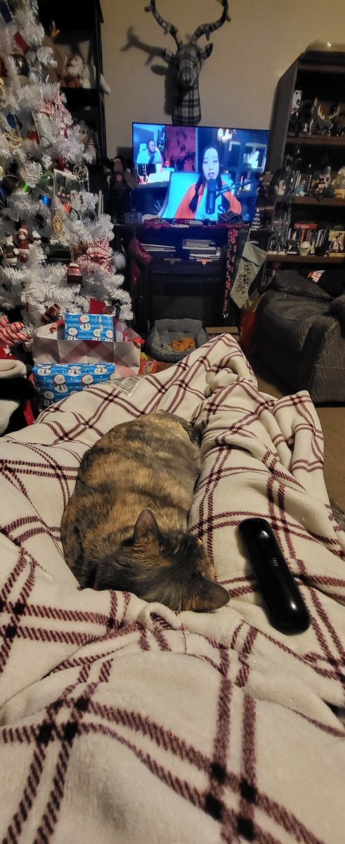 SoxWizardMagic's tweet image. #petcorner
@AlChestBreach 
KitKat charlie and Sakura! Merry Christmas 🎄🎁