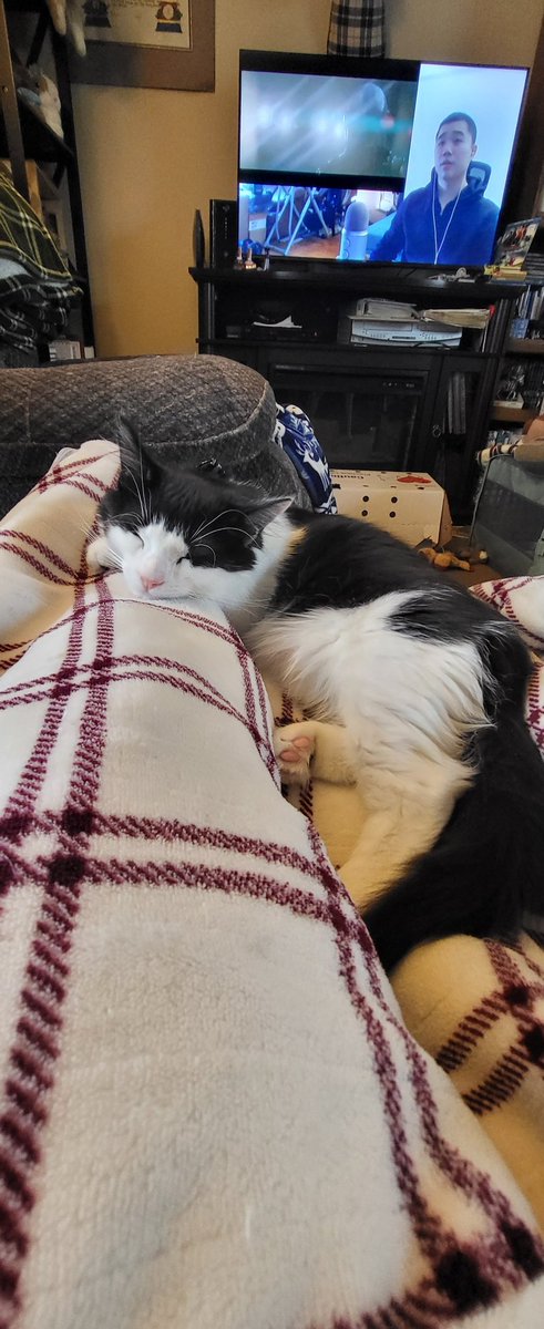 SoxWizardMagic's tweet image. #petcorner
@AlChestBreach 
KitKat charlie and Sakura! Merry Christmas 🎄🎁