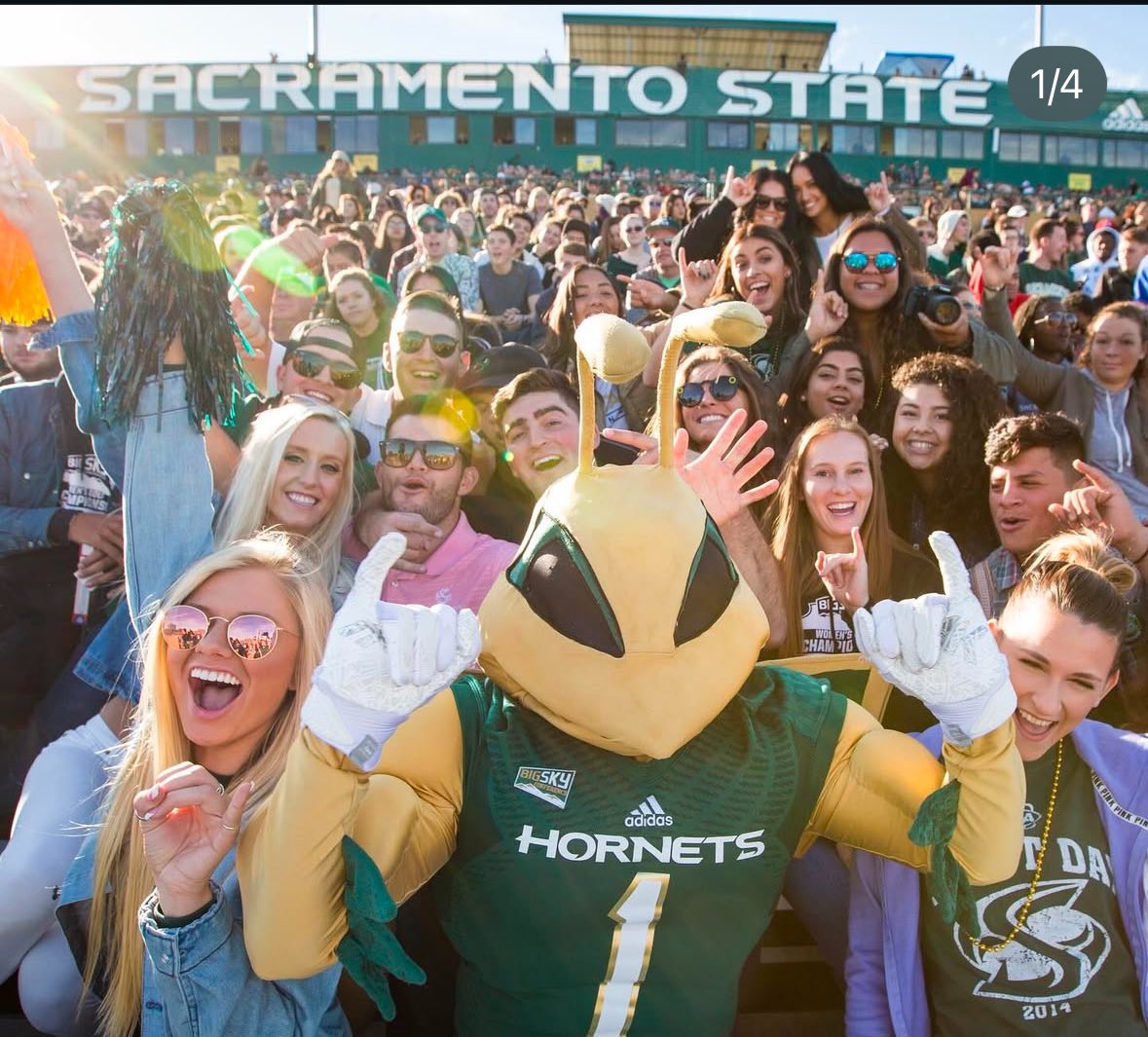 JacksonZStein's tweet photo. I am extremely Blessed to receive a Division 1 offer to Sac State Football. All Glory to God! @coachmurphhh 
@cocfb @CoachICOC @SacHornetsFB @CoachKellyCOC @DlineCoachEd @CoachSethAdam3 @JUCOFFrenzy @JuCoFootballACE @portalgems @Reno818 @DCorbet55 @COCoLinecoach https://t.co/TP79wIrzKB