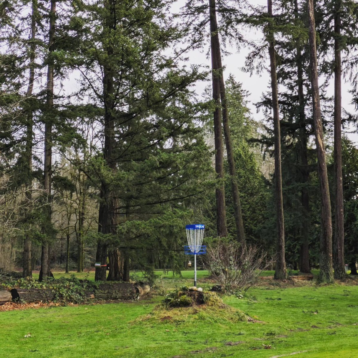 RareDiscGolf's tweet photo. NEW COURSE ALERT! Central Park Pitch &amp; Putt in Burnaby BC

This is a seasonal installation by the City of Burnaby on the ball golf course during the winter when the course is closed. Let's show the city that there's demand for more disc golf!

#BurnabyBC #DiscGolf #RareDiscs https://t.co/NhMUmXOH0E