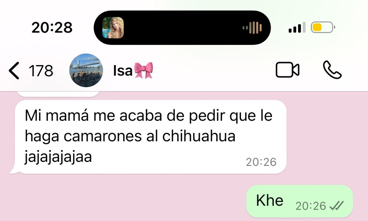 SofiaCa1997's tweet photo. “De 1 a 10 qué tan problemático es tu perro para comer????”
Mi perro: https://t.co/WON7KAhNoo