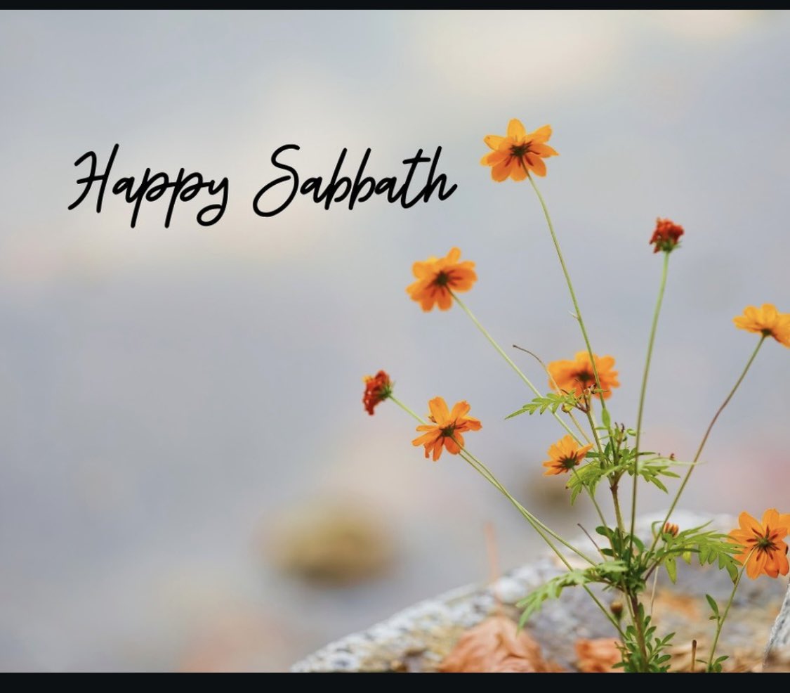 Anaclet85's tweet photo. God,it was you behind every https://t.co/YOeAv2NvM6 was ur love that made us whole time and time again.Lord,if not  for ur sustaining grace, I wouldn't have made it to the last Sabbath of the year. Ur grace carried me here, and by grace I will carry on to the next. Happy Sabbath! https://t.co/RM9A2kyaeP