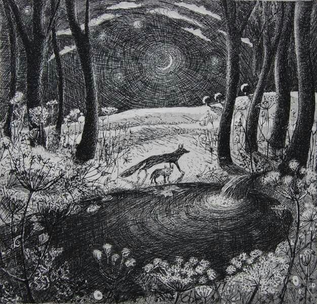 VickyGiavasi's tweet photo. 'The Hidden Pool' #illustration Flora McLachlan . https://t.co/BEf4Wh14Fw