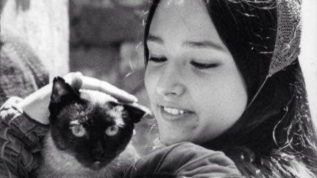 notthatpoppy's tweet photo. rest in peace olivia hussey, my juliet forever and always. https://t.co/6VGxUqaYJS