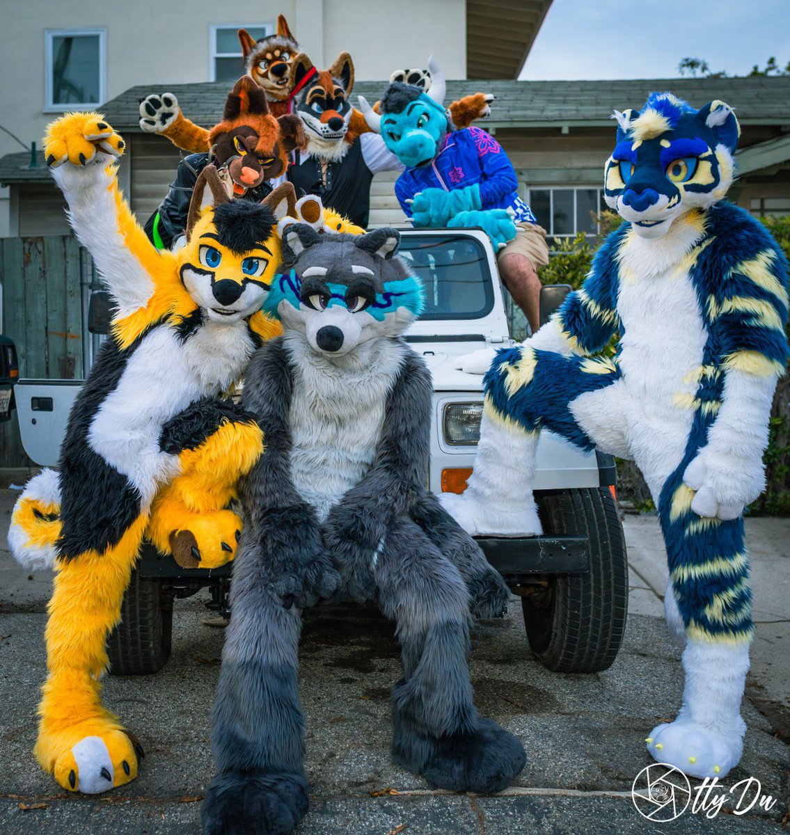 Last #FursuitFriday of the year! 

What better way to showcase the best parts of this year than with these fuzzies ❤️