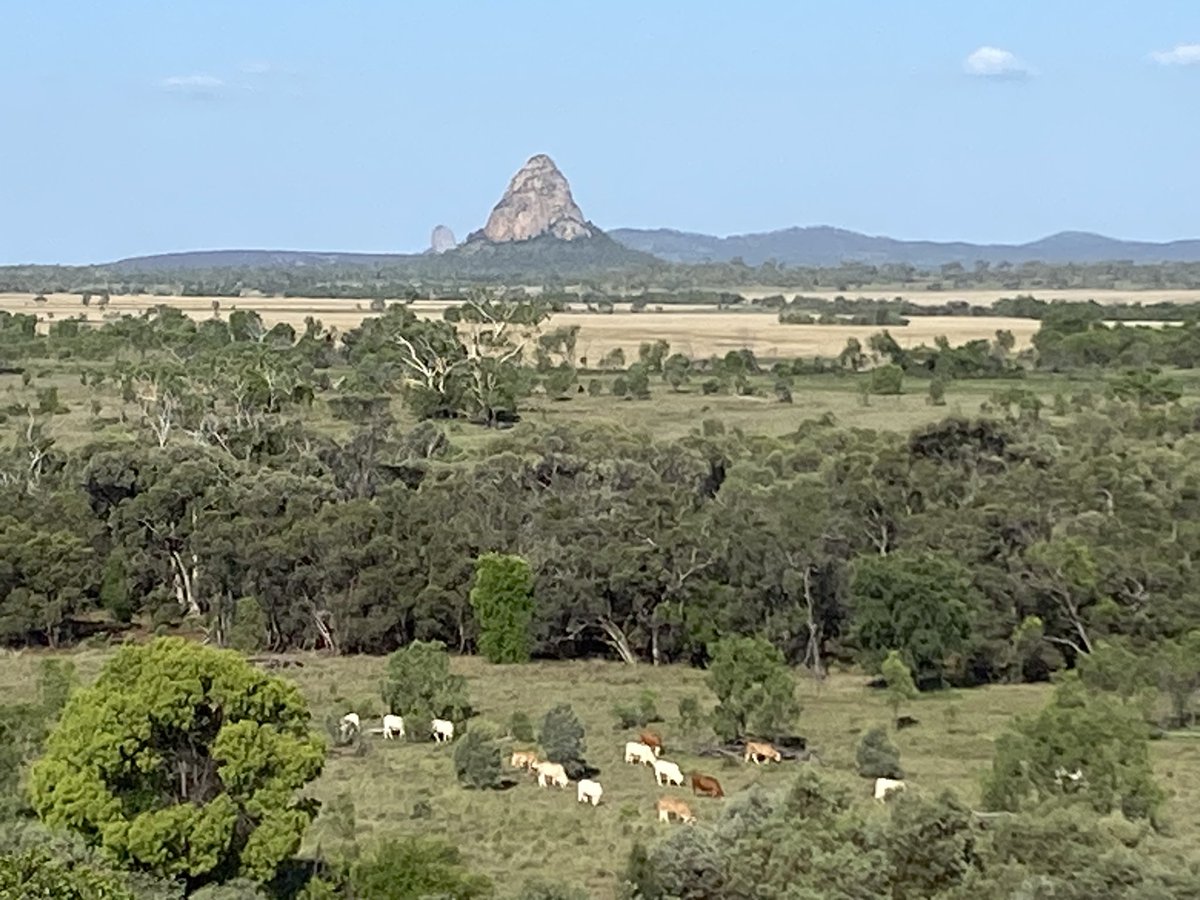 Jenson_Melanie's tweet photo. Quite peaky here in Central Qld. #wolfang #clermont https://t.co/opLUjJewQP