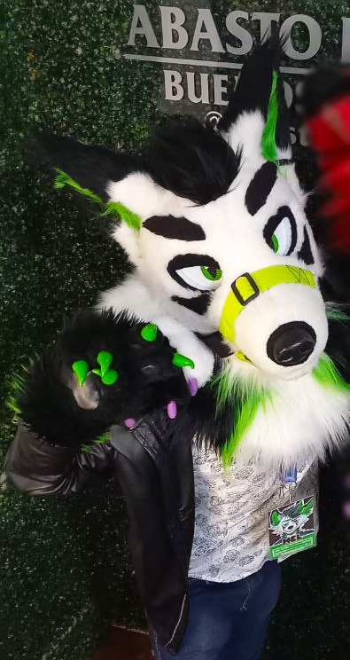 theruskyfactory's tweet photo. Más fotitos de Mel! 🐺

#FursuitFriday https://t.co/krrfUxGSXR