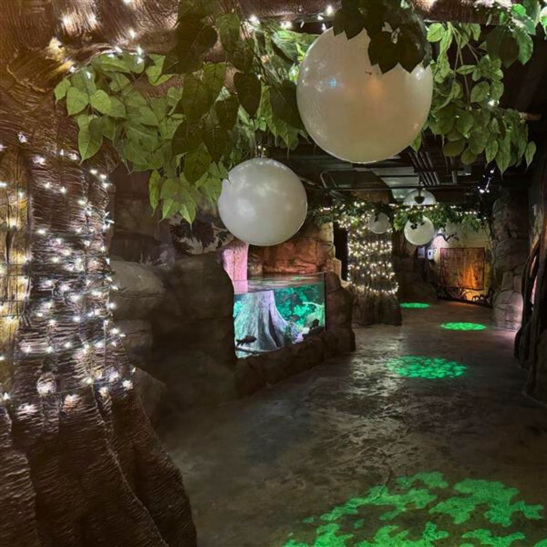 Freshwater magic or a winter dream? ❄️ Experience Twinkling Tides at <a href="/SEALIFEsatx/">Sea Life San Antonio</a>, now until January 5th. 👏