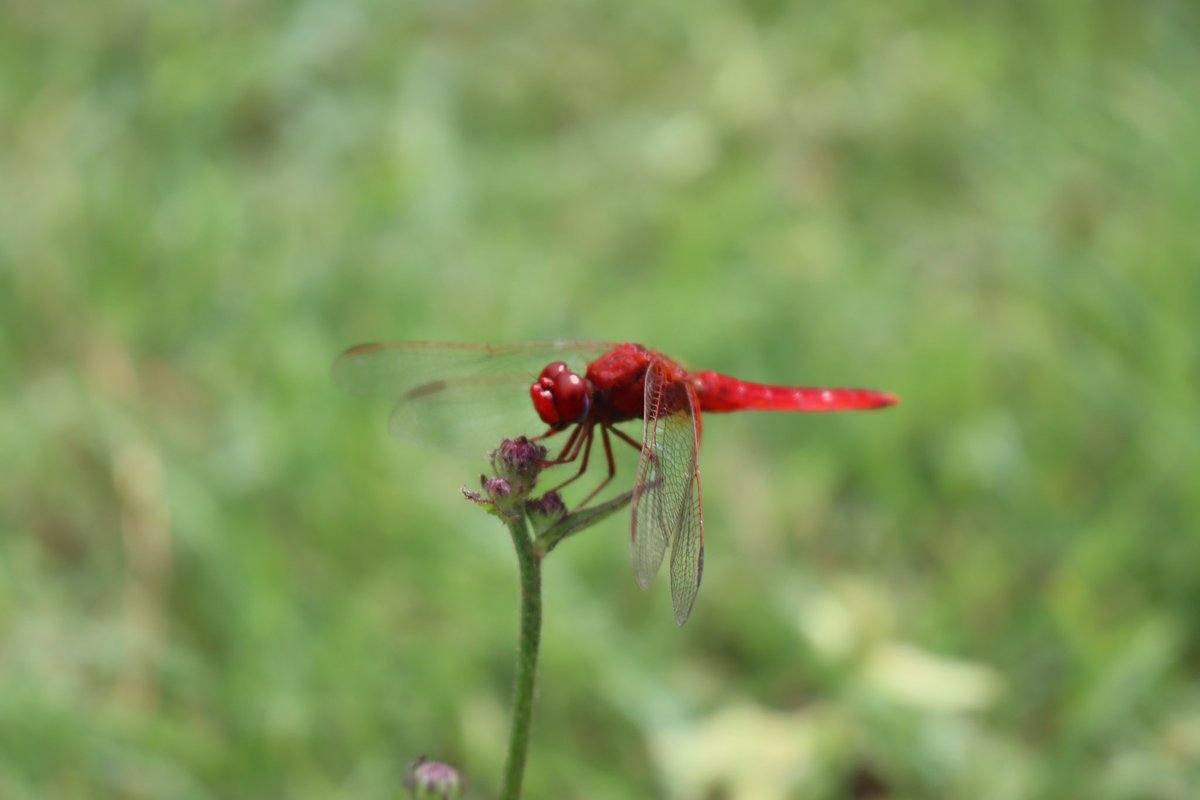 break in portbou august 15