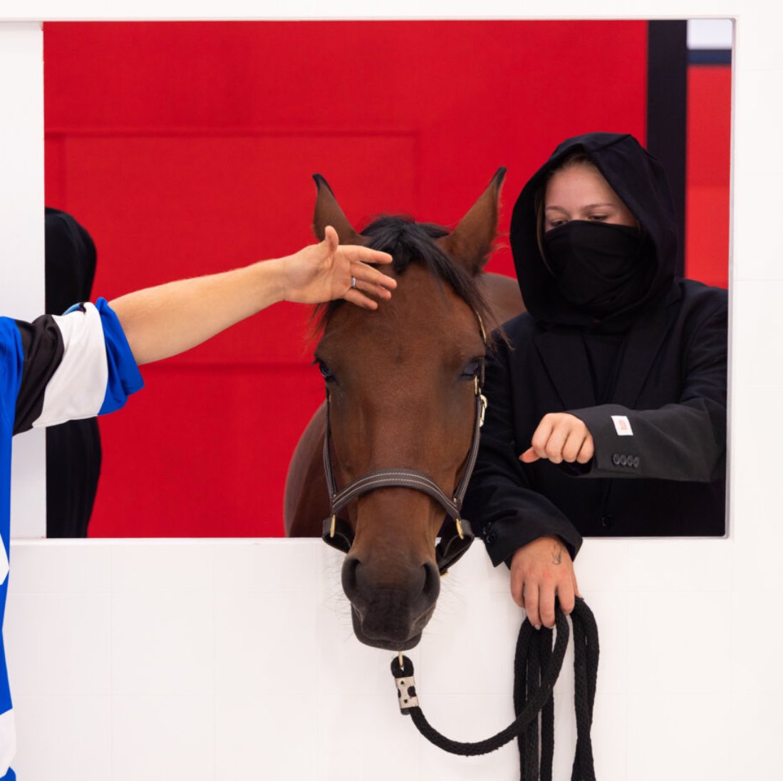 EPICSMASHERTTV's tweet image. If you were in the CUBES what would you ask for? 
#BeastGamesOnPrime