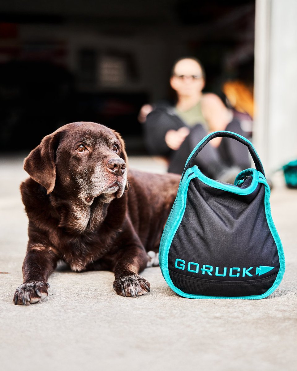 GORUCK's tweet photo. Rule #1: ALWAYS LOOK COOL
Rule #2: Never get lost
Rule #3: If you get lost, look cool
Monster approved new colors, so you always look cool during your Tribe 'n Training workouts. Join us tomorrow for the Santa's Coal Tribe workout.
#functionalfitness #RUCKING #GORUCK #lookcool https://t.co/HFAWqjHmXD