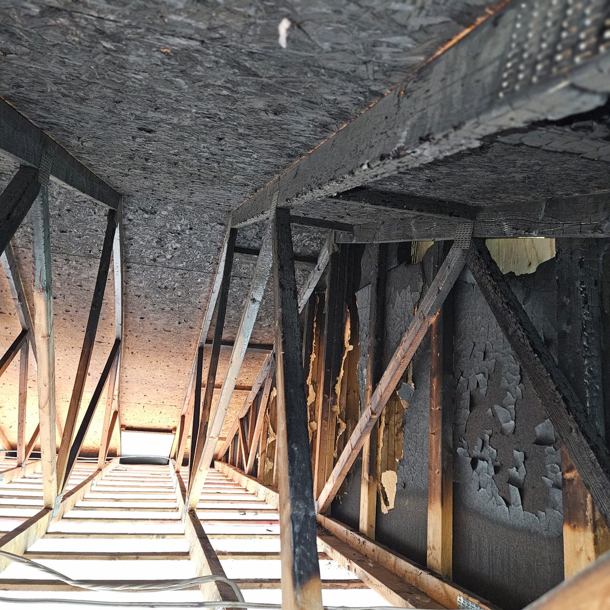 BFP_Engineering's tweet image. 2024 in pictures-6 #happyholidays #merrychristmas #happynewyear #structuralengineering #consultingengineers #canada #peterboroughontario #localpeterboroughbusiness